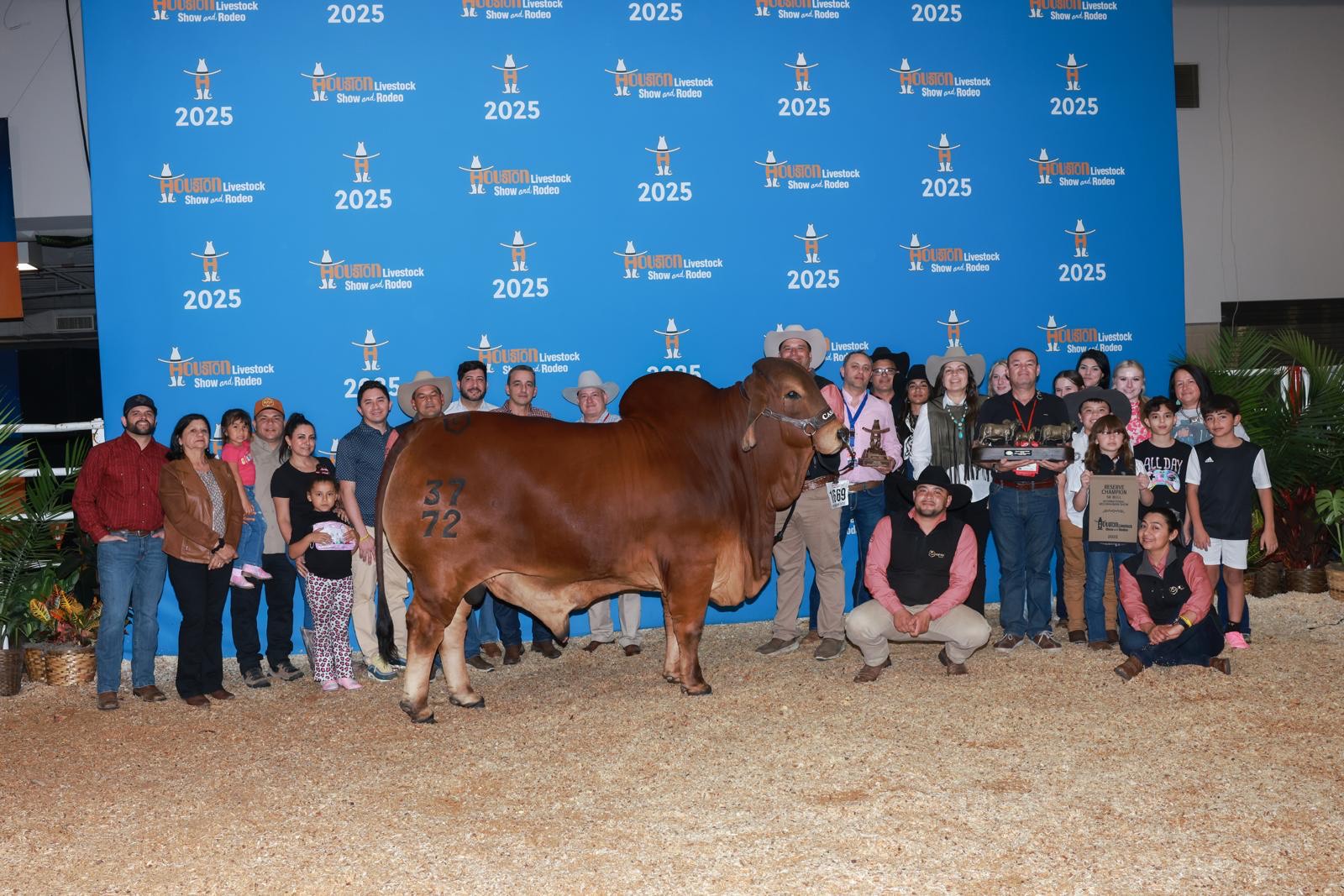 MR CASARAY DEREK 37_72 Reserve Champion Senior Bull